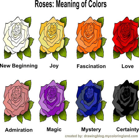 rose-color-meanings